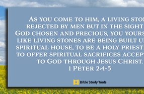 What Does It Mean to be Living Stones? - Your Daily Bible Verse - July 31
